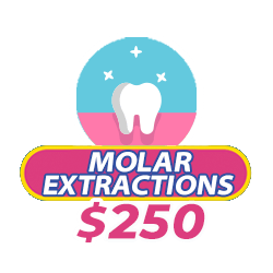 icon for affordable molar extractions